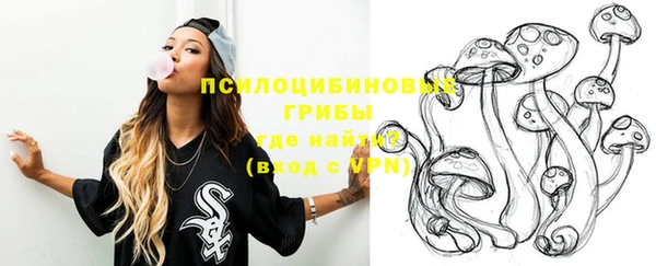шишки Балахна