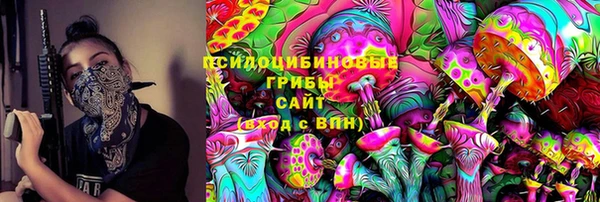 шишки Балахна