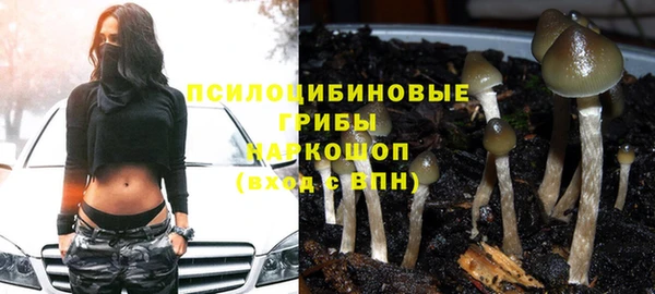 шишки Балахна