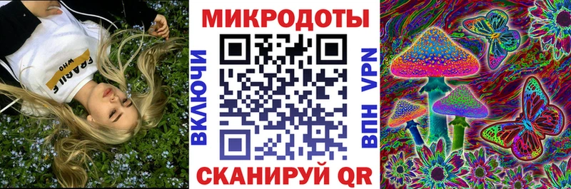Псилоцибиновые грибы мицелий Спас-Деменск